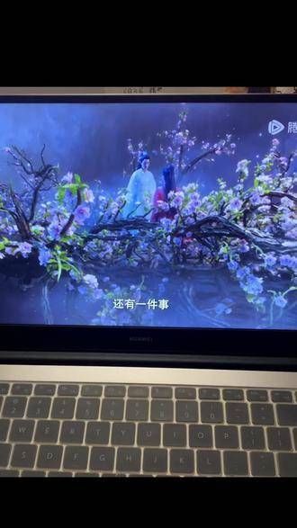 后来,在九嶷山中遇见了你