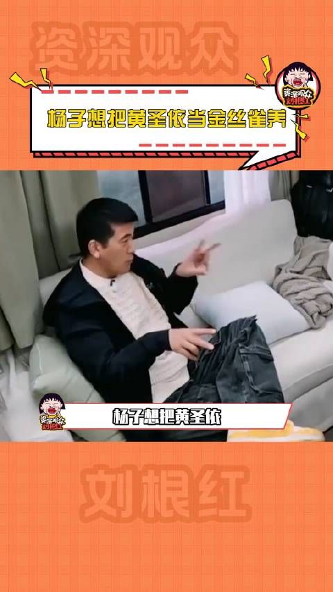 真的好像是杨子既要又要还要吧