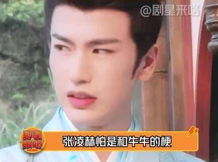 猜到了弹幕里的“牛”不少,但没想到剧中也有这么多“牛”哈哈哈