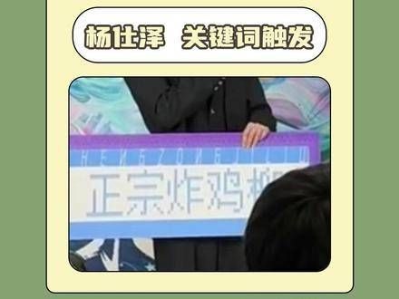 丁禹兮:求天鉴 杨仕泽:明忠奸!