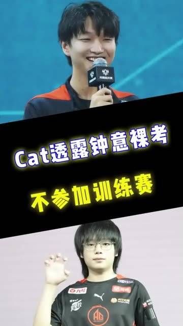 王者热度高涨!Cat放言,钟意将直接跳过训练赛,赛场见真章!