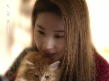 像小猫咪般高冷的黄亦玫,收留了小猫咪丢丢,心灵得到了慰藉…