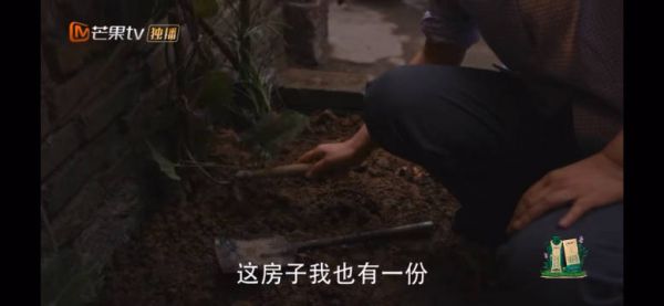 哦吼!女朋友跑了 黄玲蹲在蛇瓜下面的样子又吓人又好笑