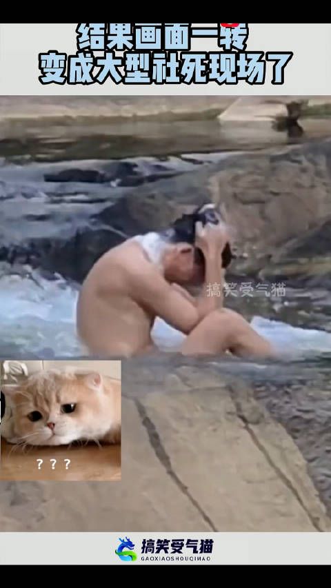 大哥悠闲洗个澡 ,结果画面一转 ,变成大型社死现场了! !q