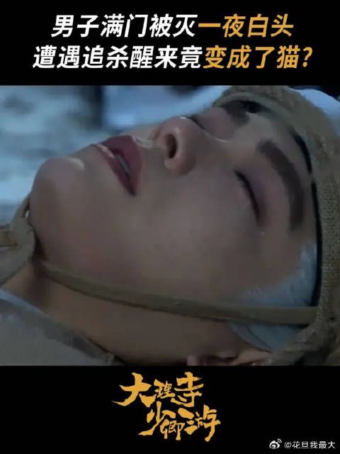 什么?!丁禹兮一醒来物种都变了?!
