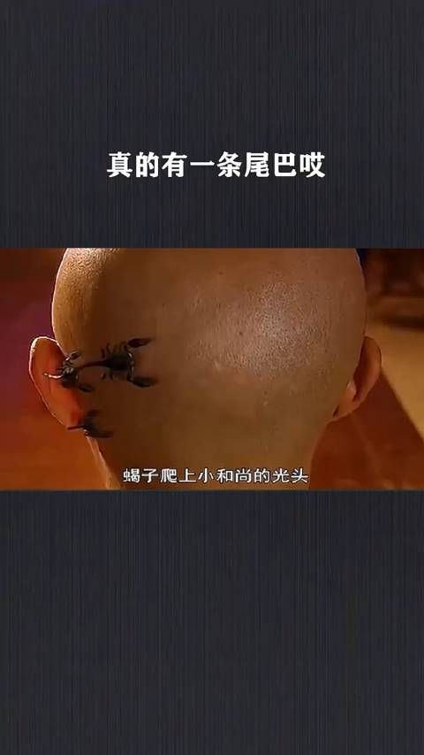 真的有一条尾巴哎