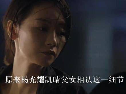 太阳星辰:原来杨光耀与凯晴父女相认的这一细节,早已预示了麦志鸿的结局