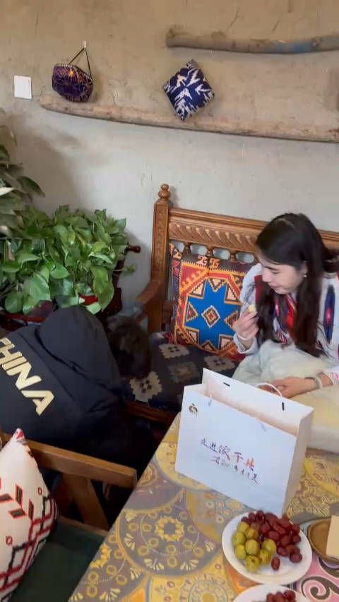哈哈哈潘展乐找猫找了半天,找到了张雨霏撸猫,猫猫好听话