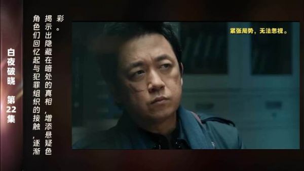 第22集 精彩片段在对话中,角色们逐渐回忆起与犯罪组织的接触…
