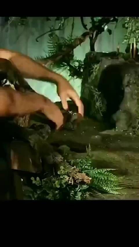 为什么会这么逼真,因为有时候并非特效