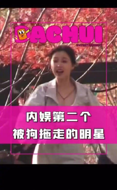 刘大锤说内娱第二个被狗拖走的明星，被拖走四次 第一个是大冰