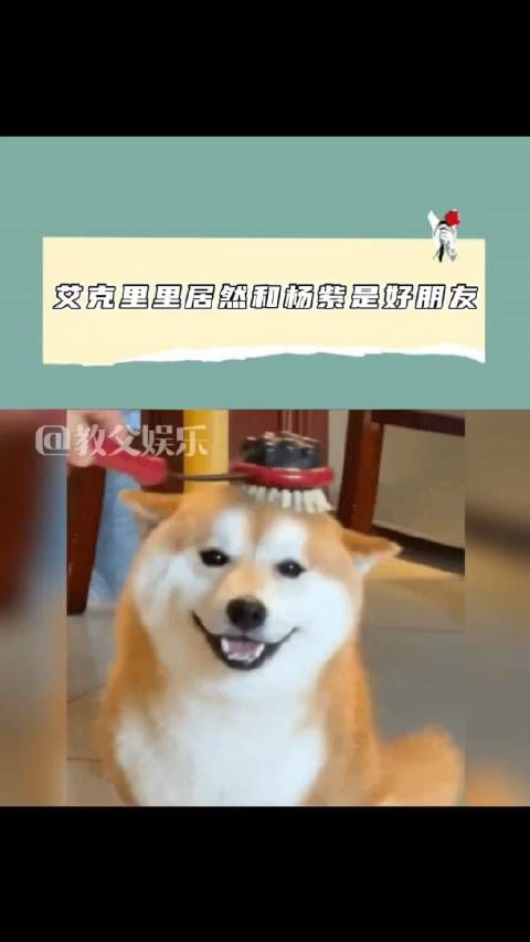 什么破次元联动啊