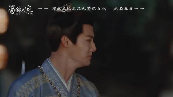 郑业成不愧是武生出身,打戏干脆利落!