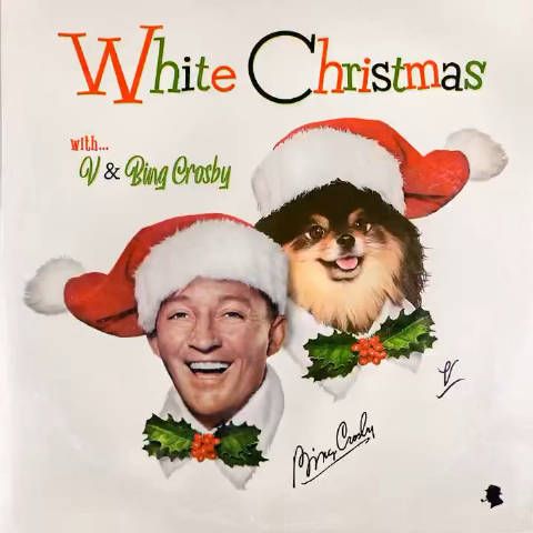 White Christmas 泰亨的Part 泰泰泰好听了!