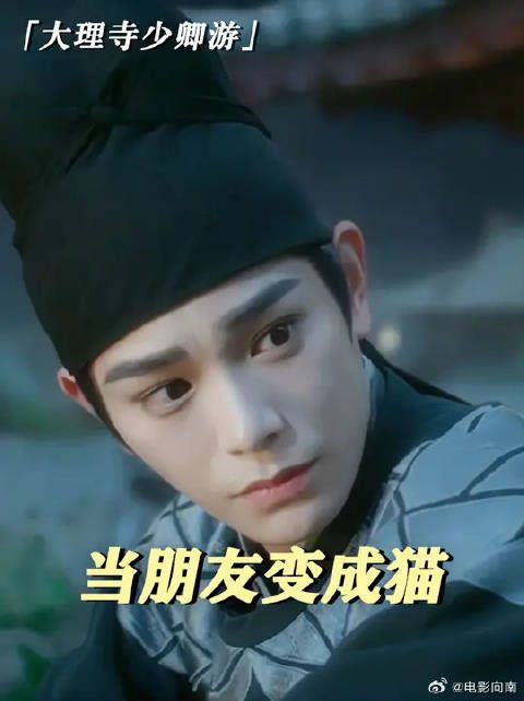 谁懂啊！喜欢的猫咪竟是自己的好朋友