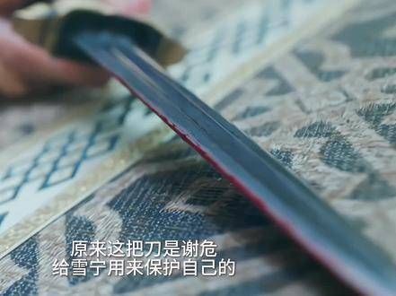 这一世,他亲自来守护她,原来那把刀是谢危给雪宁用于防身,并非让她自尽