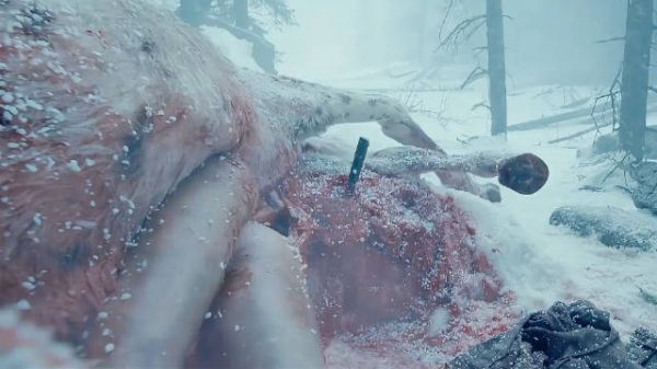 为了在暴风雪中活下去,男人直接躲进了马肚子里