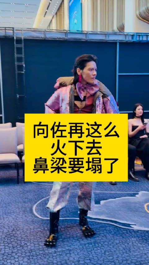 向佐再这么火下去,鼻梁要塌了向佐尖叫之夜红毯向佐尖叫之夜粉丝应援