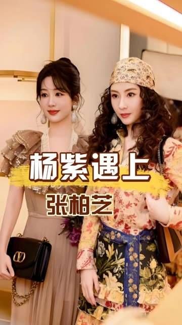 当杨紫与张柏芝同框,一张高清照片流出,方知皮相之美与骨相之美的区别