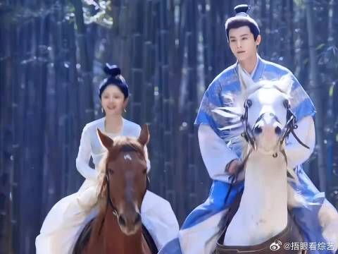 彼此尊重,你的决定我支持