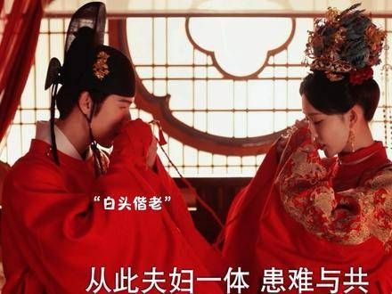 两人白头偕老 昭昭:祝贺世子智勇双全