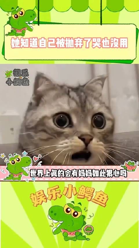 她的小手被推开的一瞬,她就知道自己被抛弃了女子把三岁孩子扔河里