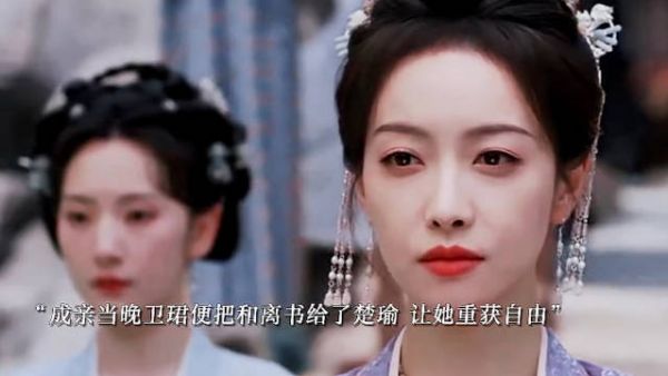 一次意外相遇,共同联手守护国家铲除恶贼 电视剧大赏