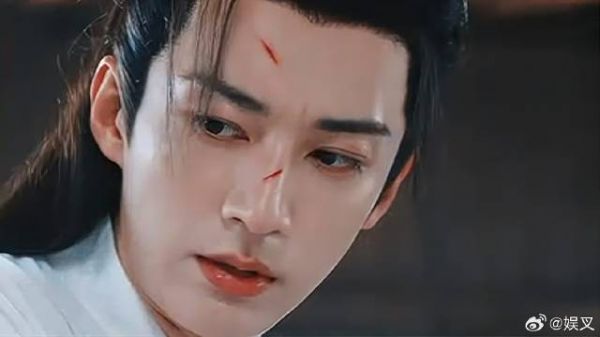 眉林真是爱惨王爷了,誓死也要保护王爷