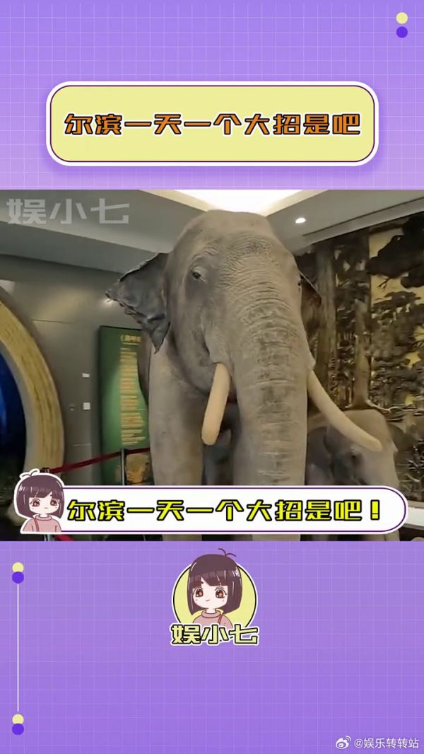 本地人:弱弱问一句,本地人让进不! 娱乐号星