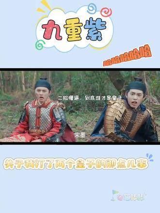 宋墨真是有出息，两个皇子都被他一人一拳教训了，九重紫搞笑片段又添新料