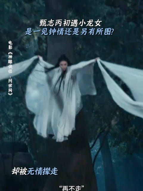 新版《神雕侠侣》(网大),这个小龙女怎么样