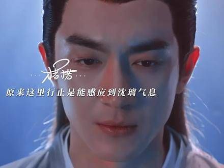 原来行止能够感应到沈璃的凤凰气息,这一切始于沈璃被子夏重伤之后