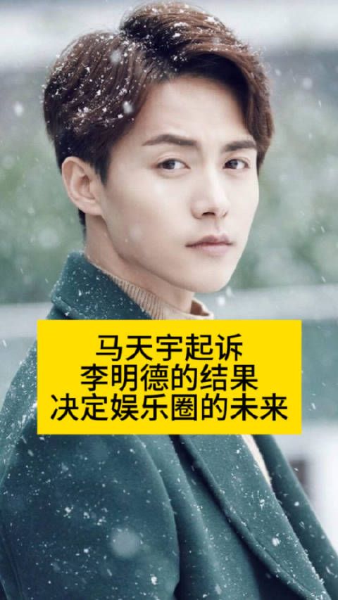 娱乐圈大案结果揭晓,马天宇起诉李明德引发关注