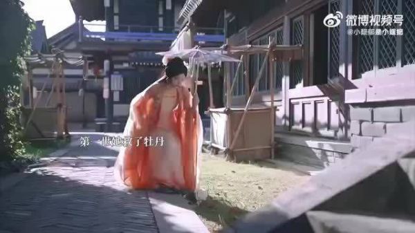 三生三世守护的人,灵魂深处的情感刻骨铭心,难以忘怀