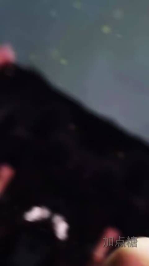 蔡依林化身黑金女王,气场全开