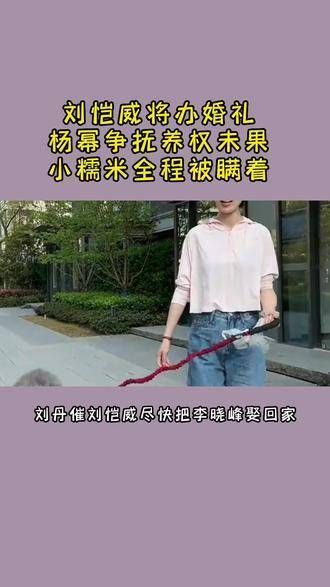 刘恺威即将举办婚礼,杨幂争取抚养权未成功,小糯米全程被蒙在鼓里