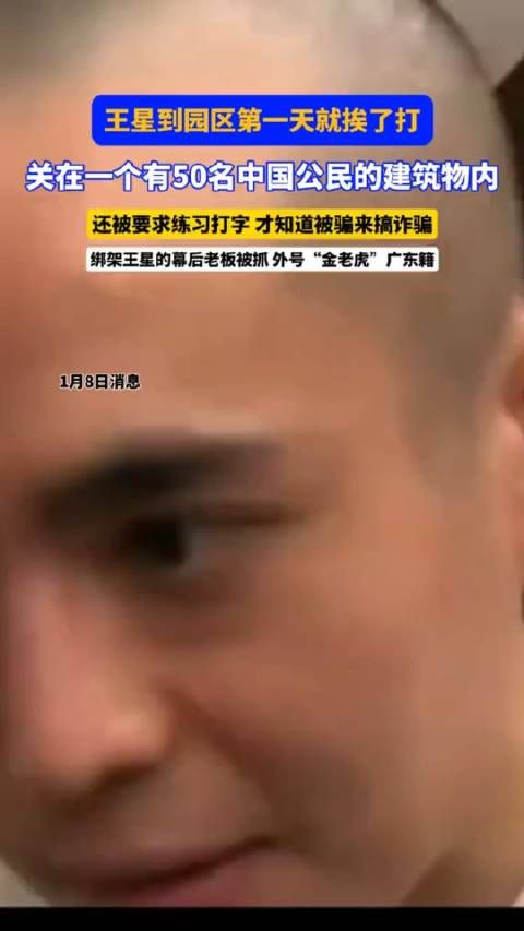 王星到园区第一天就挨了打,马媒称泰方抓到王星案幕后老板!