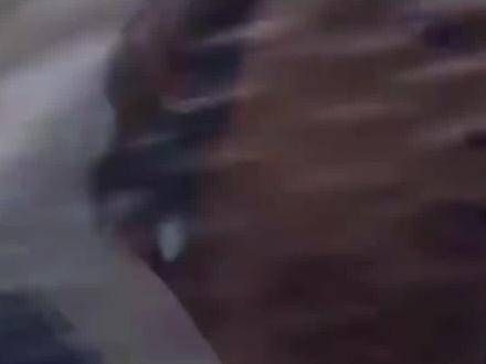 张三丰一直渴望得到九阳神功,但在张无忌拯救武当派时,为何他却只字不提?