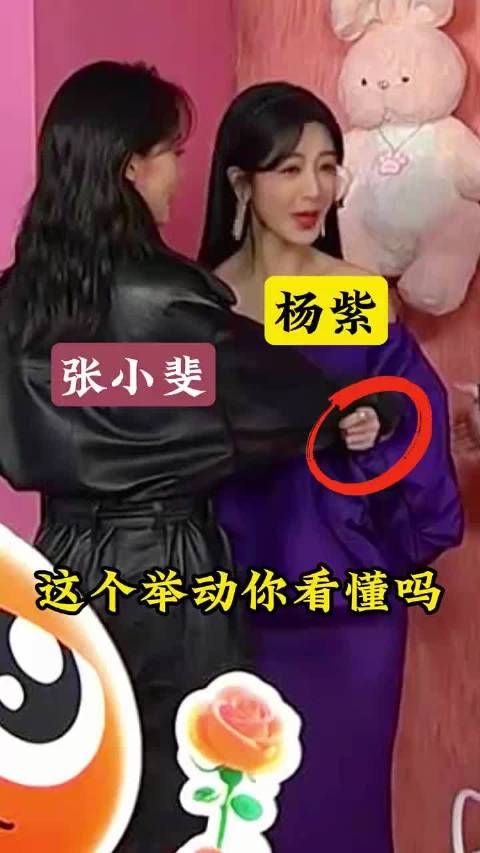 张小斐试图拉杨紫坐到中间,但杨紫并不情愿