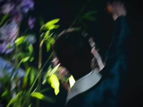 陌上人如玉,公子世无双