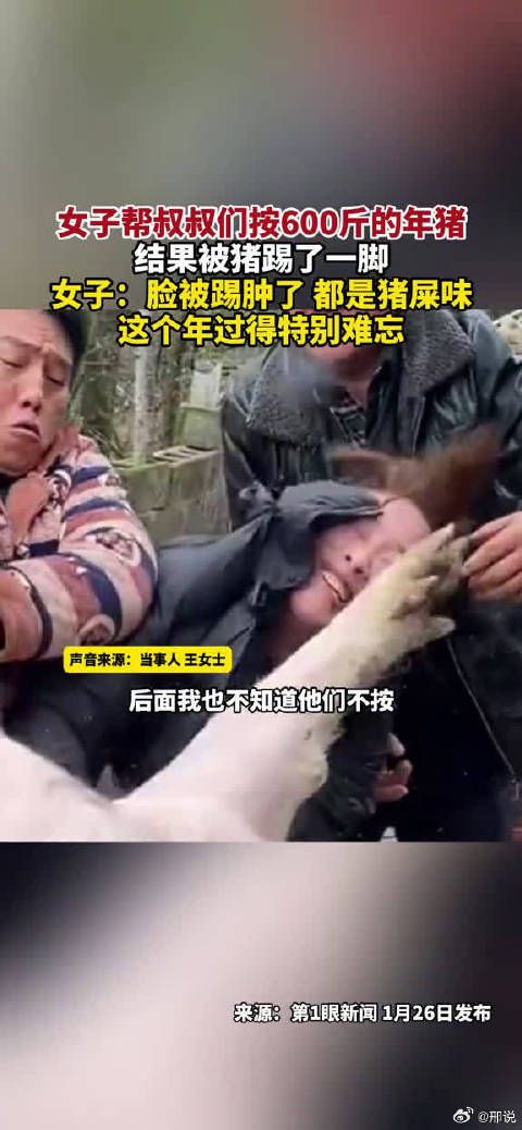 女子帮叔叔们按600斤的年猪,结果被猪踢了一脚,女子:脸被踢肿了…