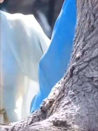 谁许你天上人间,谁与你共度恨海情天,我们是纠缠三生三世的怨侣…