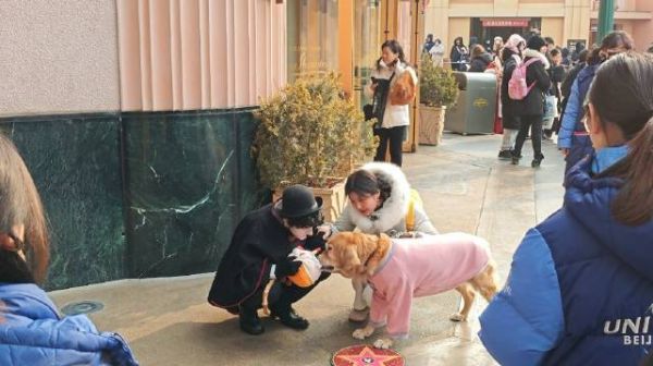 好有爱心的一幕,年卡导盲犬沙果生日,卓别林和狗狗互动