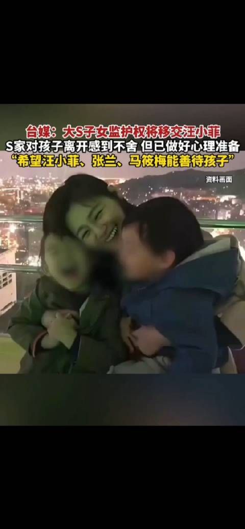 台媒:大S子女监护权将移交给汪小菲