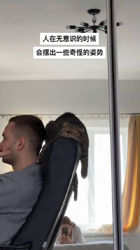 你是正经喵星人吗?待的位置有点特别!