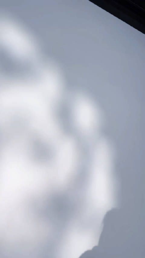 王一博祝好运连连,正月十五元宵节快乐,是一套造型从新年到元宵…