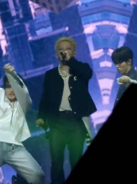 250214|kpopmasterz 墨镜一摘 拽猪来也 cr illdo421