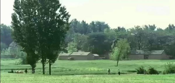 这样的制片人建议多来点啊！