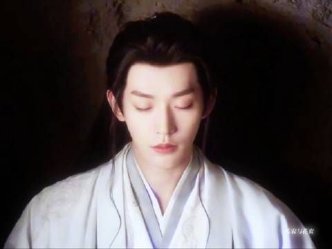 这个仙台有树真的很会拍!