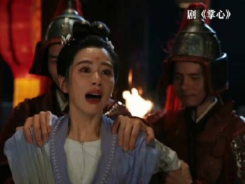 掌心:丹心为了取得海宜平信任服了海宜平给的毒…